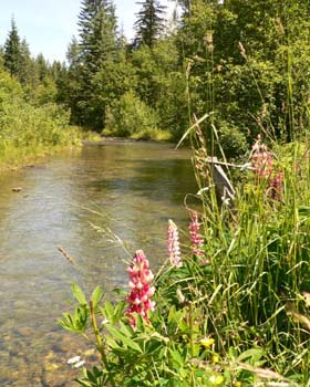 Our_River